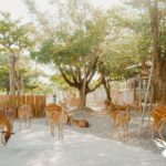 child preview placeholder