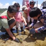 child preview placeholder